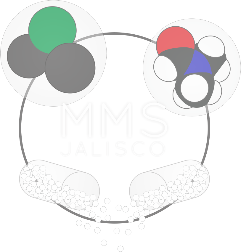 MMS Jalisco